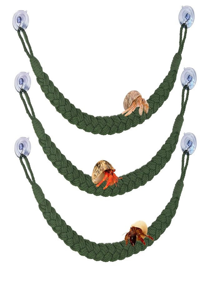 kathson 3pcs Hermit Crab Climbing Toys, Hermit Crab Climbing Rope Ladder with 10 Hook Suction Cup Reptile Tank Terrarium Accessories for Lizards Snakes Geckos (Green) - Image 1